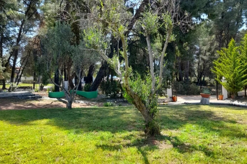 Foto - 5 Zimmer Gewerbeobjekt (Büro, Produktion, Verkauf) zum Kaufen in 