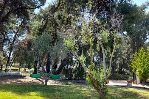 Foto - Gewerbeobjekt (Büro, Produktion, Verkauf) in zum Kaufen