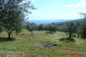 Foto - Grundstück Land Kaufen, , Aipeia (Messinia),
