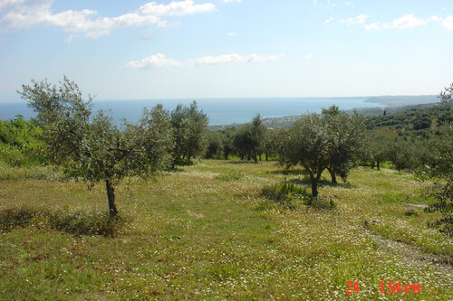 Foto - Grundstück zum Kaufen in 