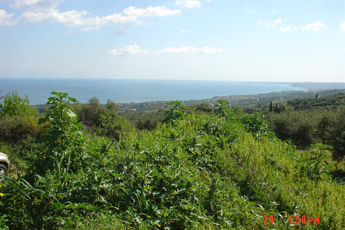 Foto - Grundstück in 