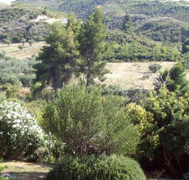 Haus Kaufen, , Kassandra (Chalkidiki),