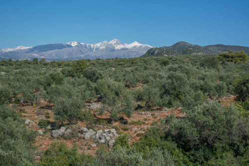 Foto - Grundstück Land Kaufen, , Avia (Messinia),