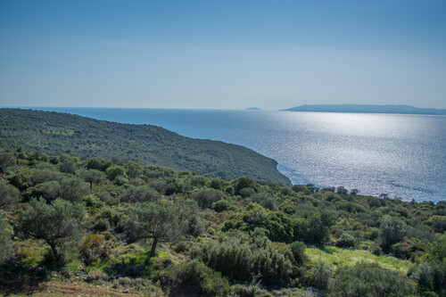 Foto - Grundstück zum Kaufen in 