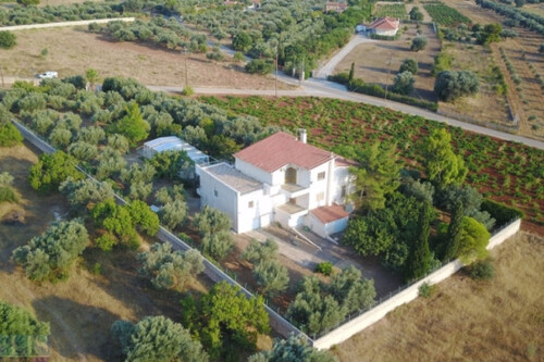 Foto - Einfamilienhaus in zum Kaufen