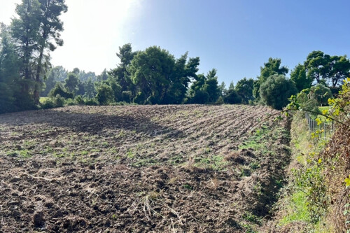 Foto - Grundstück zum Kaufen in 