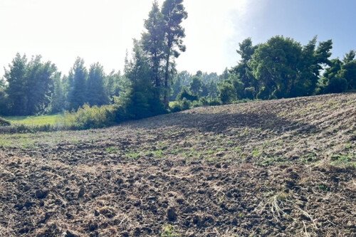 Foto - Grundstück in zum Kaufen