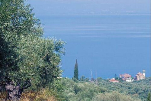 Foto - Grundstück Land Kaufen, , Kalamata (Messinia),