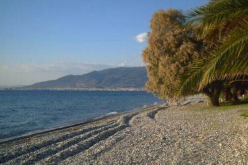 Foto - Grundstück zum Kaufen in 