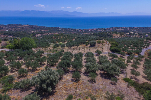 Foto - Grundstück Land Kaufen, , Aipeia (Messinia),