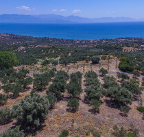 Grundstück Land Kaufen, , Aipeia (Messinia),