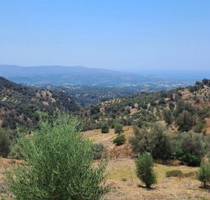 Haus Kaufen, , Tympaki (Heraklion Präfektur),