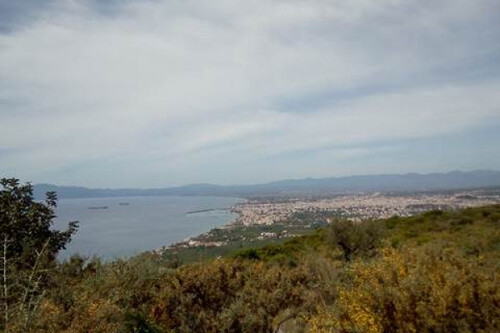 Foto - Grundstück Land Kaufen, , Kalamata (Messinia),