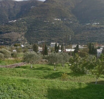 Grundstück Land Kaufen, , Andros (Kykladen),