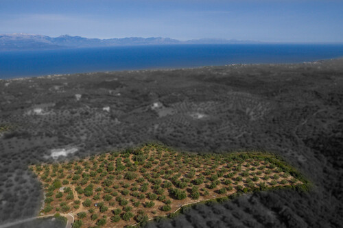 Foto - Grundstück in zum Kaufen