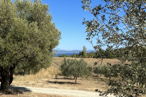 Foto - Grundstück Land Kaufen, , Kassandra (Chalkidiki),