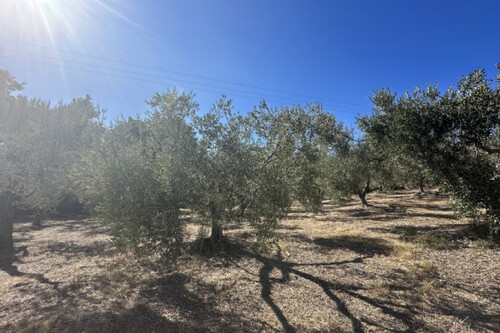 Foto - Grundstück zum Kaufen in 