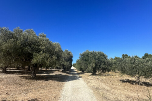 Foto - Grundstück in 