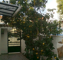 Haus Kaufen, , Lesbos - Mytilini (Lesbos Präfektur),