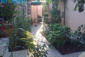 Foto - 4 Zimmer Einfamilienhaus in 