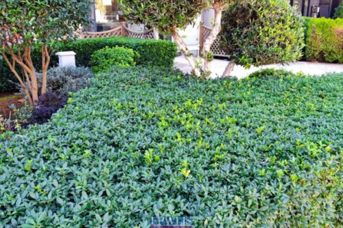 Foto - 2 Zimmer Gewerbeobjekt (Büro, Produktion, Verkauf) zur Miete in 