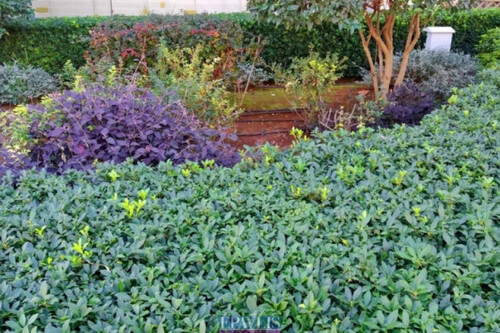 Foto - 2 Zimmer Gewerbeobjekt (Büro, Produktion, Verkauf) in 