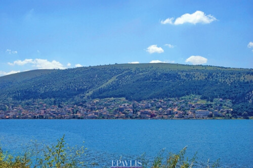 Foto - Grundstück Land Kaufen, , Amfilochia (Aitolia & Akarnania),
