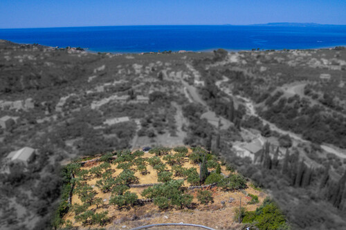 Foto - Grundstück zum Kaufen in 