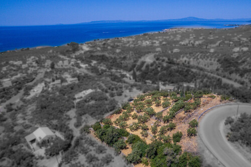 Foto - Grundstück in zum Kaufen