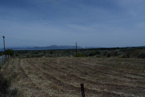 Foto - Grundstück Land Kaufen, , Oreoi (Euböa),