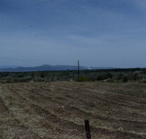 Grundstück Land Kaufen, , Oreoi (Euböa),