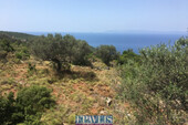 Foto - Grundstück Land Kaufen, , Avia (Messinia),