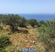 Grundstück Land Kaufen, , Avia (Messinia),