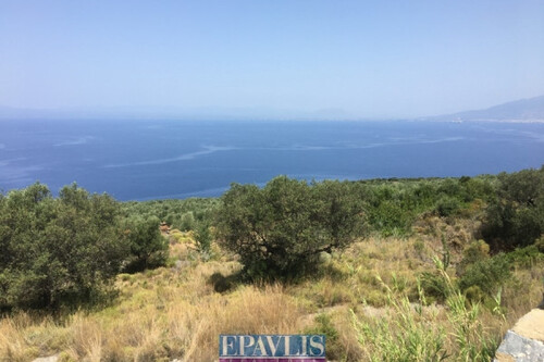 Foto - Grundstück zum Kaufen in 