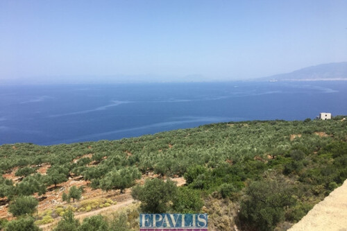 Foto - Grundstück in 