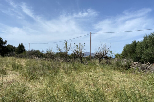 Foto - Grundstück in zum Kaufen