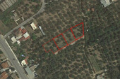 Foto - Grundstück Land Kaufen, , Kalamata (Messinia),