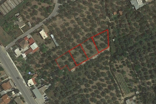 Foto - Grundstück Land Kaufen, , Kalamata (Messinia),