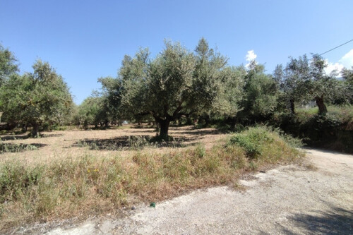 Foto - Grundstück in zum Kaufen