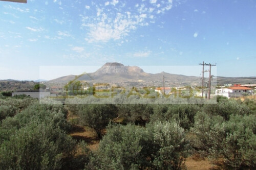 Foto - 4 Zimmer Einfamilienhaus zum Kaufen in 