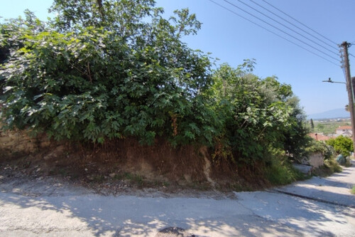 Foto - Grundstück in zum Kaufen