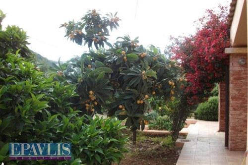 Foto - Einfamilienhaus in zum Kaufen