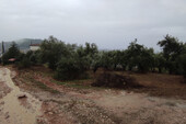Foto - Grundstück Land Kaufen, , Paliokastro (Trikala Präfektur),