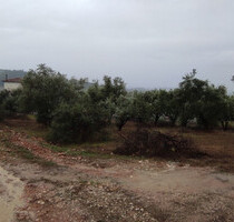 Grundstück Land Kaufen, , Paliokastro (Trikala Präfektur),