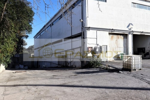 Foto - Gewerbeobjekt (Büro, Produktion, Verkauf) zur Miete in 