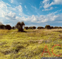 Grundstück Land Kaufen, , Kassandra (Chalkidiki),