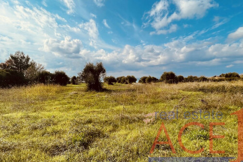 Foto - Grundstück zum Kaufen in 