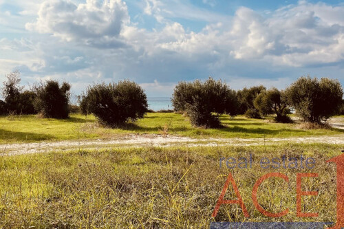 Foto - Grundstück in zum Kaufen