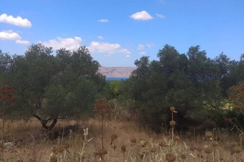 Foto - Grundstück Land Kaufen, , Georgioupoli (Chania Präfektur),