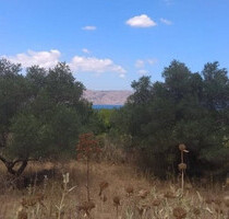 Grundstück Land Kaufen, , Georgioupoli (Chania Präfektur),